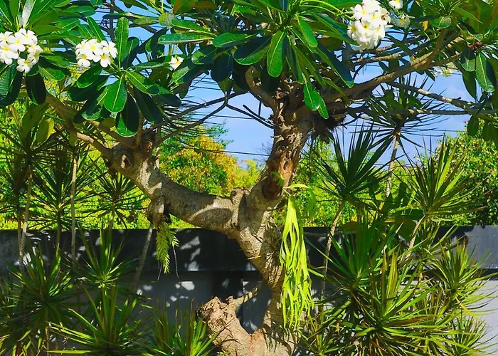 Tegar Penida Paradise Pensión